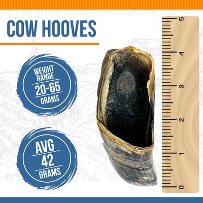 Show full view: K9warehouse Cow Hooves Natural Dog Treats, 6 count slide 3 of 7