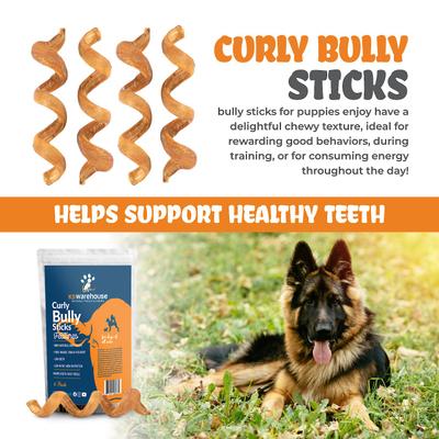 Show full view: K9warehouse Curly Bully Sticks 6-inch Dog Treats, 6 count slide 4 of 8