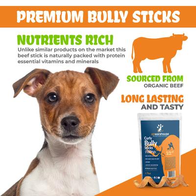 Show full view: K9warehouse Curly Bully Sticks 6-inch Dog Treats, 6 count slide 5 of 8
