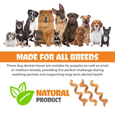 Show full view: K9warehouse Curly Bully Sticks 6-inch Dog Treats, 6 count slide 8 of 8