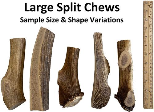 Show full view: K9warehouse Elk Antlers Large Split Dog Chew Treat slide 4 of 10