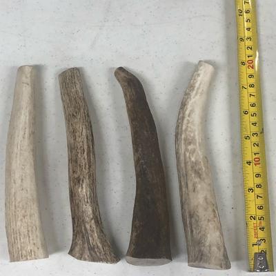 Show full view: K9warehouse Elk Antlers Large Whole Dog Chew Treat slide 4 of 9