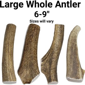 K9warehouse Elk Antlers Large Whole Dog Chew Treat