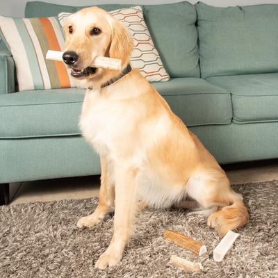 Show full view: K9warehouse Elk Antlers Large Whole Dog Chew Treat slide 6 of 9