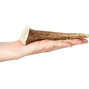 K9warehouse Elk Antlers Medium Whole Dog Chew Treat