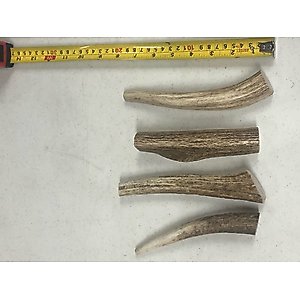 K9warehouse Elk Antlers Medium Whole Dog Chew Treat