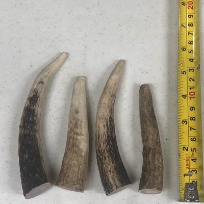 Show full view: K9warehouse Elk Antlers Small Whole Dog Chew Treat slide 4 of 6