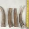 Show in main carousel: K9warehouse Elk Antlers X-Large Whole Dog Chew Treat slide 4 of 8