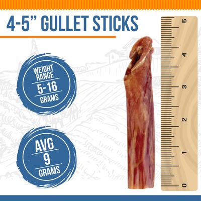 Show full view: K9warehouse Gullet Sticks 4 to 5-inch Beef Flavored Dog Chews, 16-oz pouch slide 3 of 4
