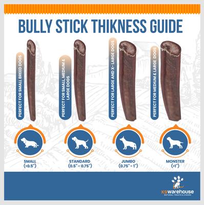 Show full view: K9warehouse Jumbo 12-inch Bully Sticks Dog Treats, 3 count slide 5 of 9