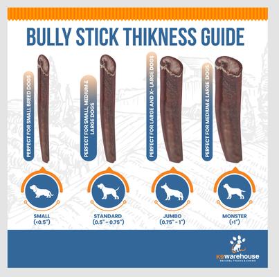 Show full view: K9warehouse Jumbo 6-inch Bully Sticks Dog Treats, 3 count slide 5 of 9