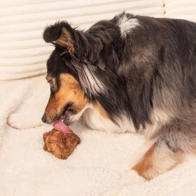 Show full view: K9warehouse Knee Cap Bones Dog Chew Treats, 10 count slide 8 of 9