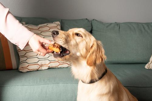 Show full view: K9warehouse Knee Cap Bones Dog Chew Treats, 10 count slide 9 of 9