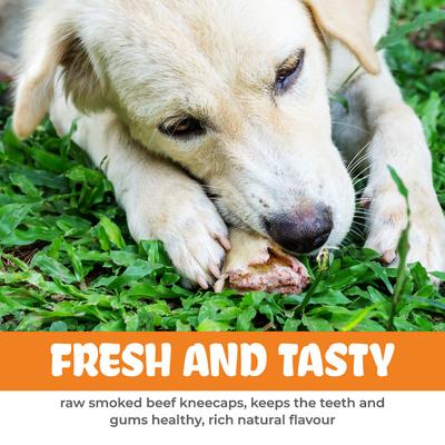 Show full view: K9warehouse Knee Cap Bones Dog Chew Treats, 3 count slide 4 of 9