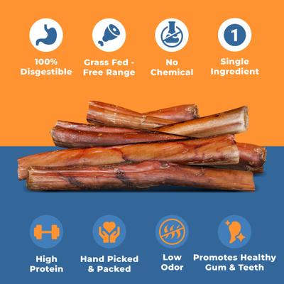 Show full view: K9warehouse Mega Monster Bully Sticks 12-in, 3 count slide 3 of 6