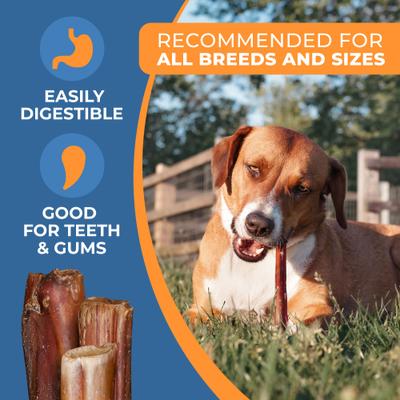 Show full view: K9warehouse Mega Monster Bully Sticks 12-in, 3 count slide 4 of 6