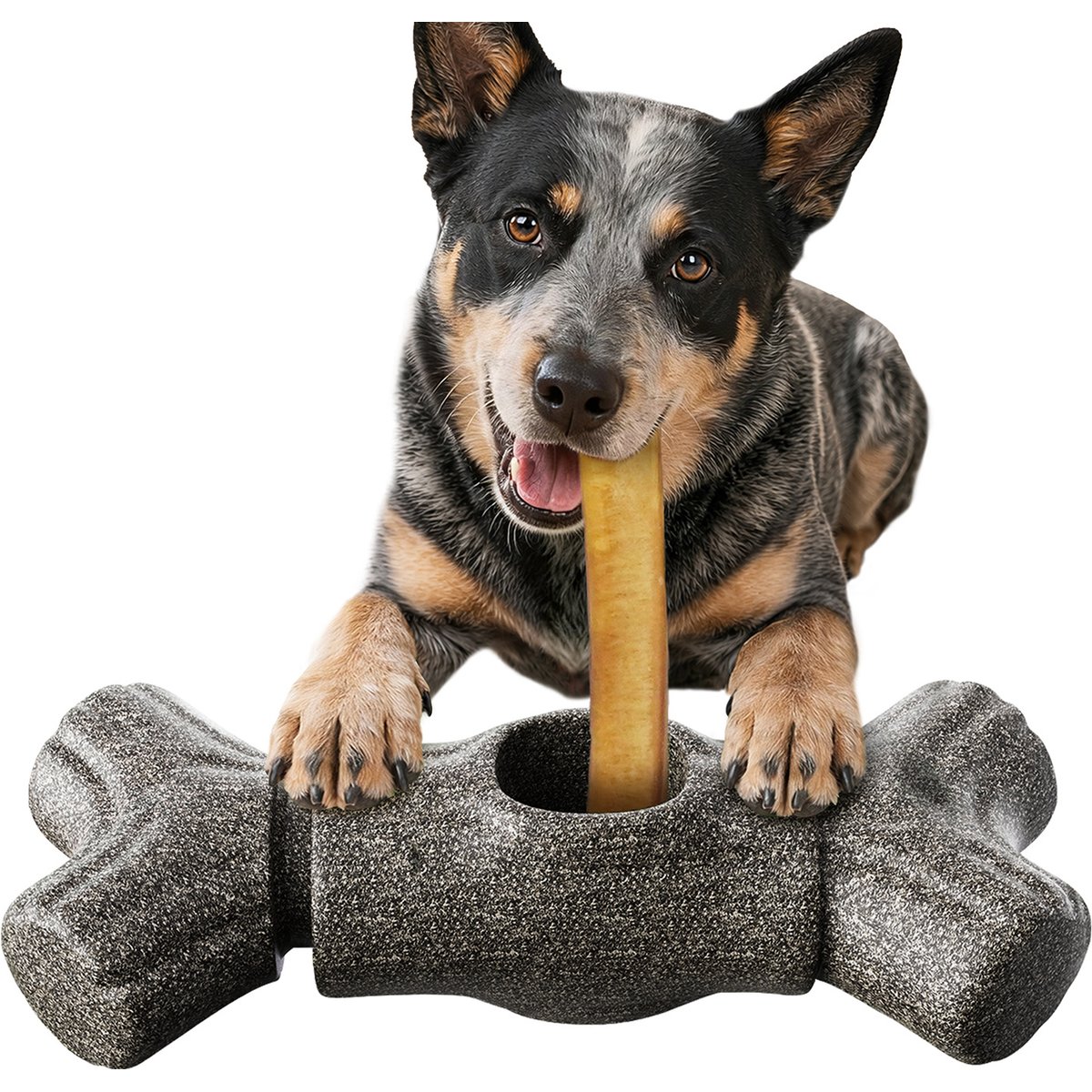 KADTC Durable Bully Stick Holder Dog Toy, Brown, X-Large