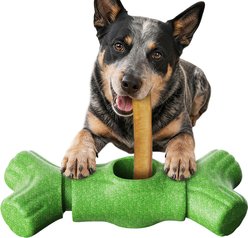 KADTC Durable Bully Stick Holder Tough Chew Dog Toy, Green, Large