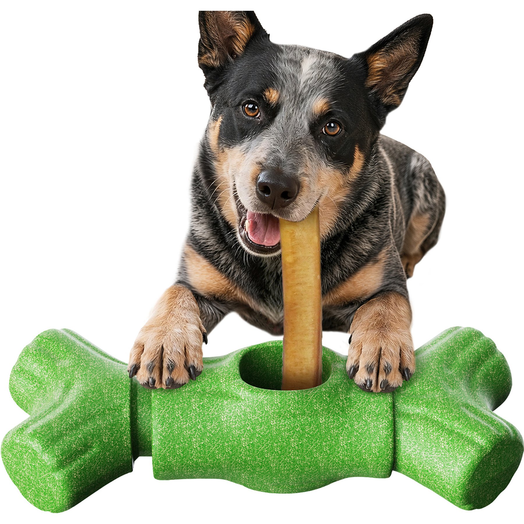 KADTC Durable Bully Stick Holder Tough Chew Dog Toy, Green, Large