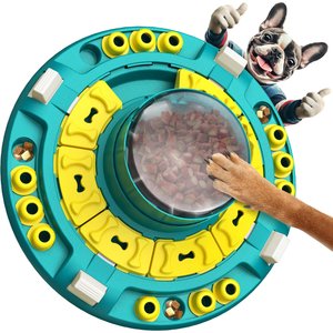 KADTC Explorer 4 In 1 Puzzle Dog Toy, Green - Chewy.com