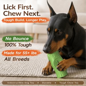 KADTC Frost Lick 2 In 1 Dog Fillable Chew Enrichment Puzzle Toy, Green, X-Large
