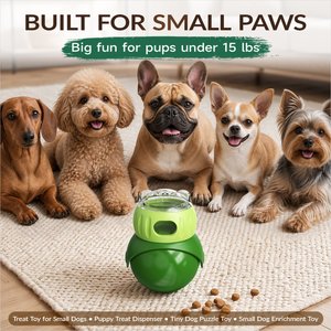 KADTC Wobble Dog & Cat Treat Dispensing Toy, Green, Small