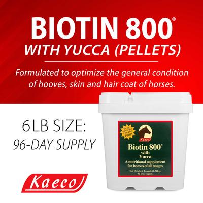 Show full view: Kaeco Biotin 800 Molasses Pellets Horse Hoof Care Supplement, 6-lb tub slide 7 of 7