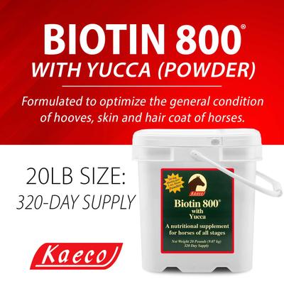 Show full view: Kaeco Biotin 800 Powder Horse Hoof Care Supplement, 20-lb tub slide 4 of 6