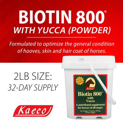 Show full view: Kaeco Biotin 800 Powder Horse Hoof Care Supplement, 2-lb tub slide 5 of 5