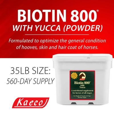 Show full view: Kaeco Biotin 800 Powder Horse Hoof Care Supplement, 35-lb bucket slide 4 of 6