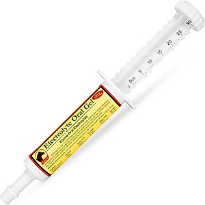 Kaeco Electrolyte Oral Gel Horse Supplement, 30-ml tub