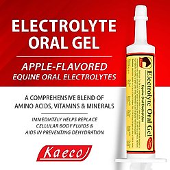Kaeco Electrolyte Oral Gel Horse Supplement, 30-ml tub slide 2 of 5