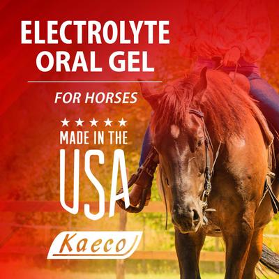 Show full view: Kaeco Electrolyte Oral Gel Horse Supplement, 30-ml tub slide 3 of 5