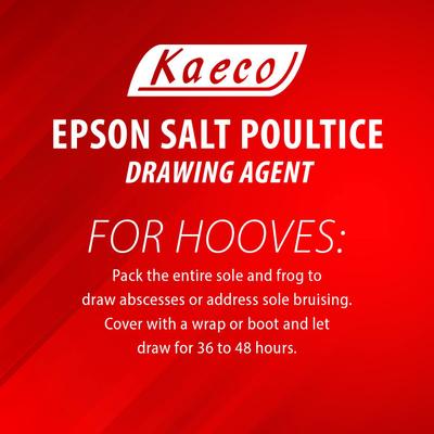 Show full view: Kaeco Epsom Salt Poultice Horse Supplement, 10-lb tub slide 4 of 5