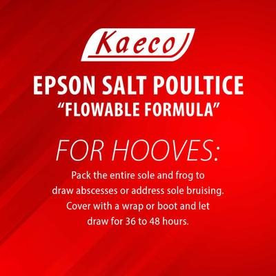 Show full view: Kaeco Epsom Salt Poultice Horse Supplement, 20-fl oz tub slide 5 of 6