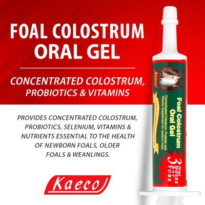 Show full view: Kaeco Foal Colostrum Oral Gel Horse Comprehensive Supplement, 30-ml tub slide 4 of 4