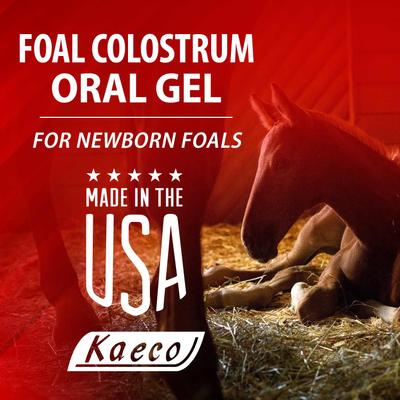 Show full view: Kaeco Foal Colostrum Oral Gel Horse Comprehensive Supplement, 30-ml tub slide 2 of 4
