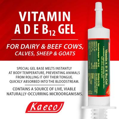 Show full view: Kaeco Vitamin ADEB12 Gel Livestock Supplement, 80-ml tube slide 2 of 4