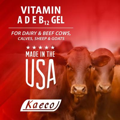 Show full view: Kaeco Vitamin ADEB12 Gel Livestock Supplement, 300-ml tube slide 4 of 4