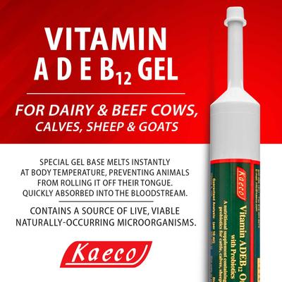 Show full view: Kaeco Vitamin ADEB12 Gel Livestock Supplement, 300-ml tube slide 2 of 4