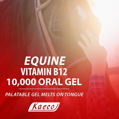 Show full view: Kaeco Vitamin B12 Gel Horse Supplement, 10,000 mcg, 15-ml tub slide 3 of 5
