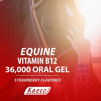 Show full view: Kaeco Vitamin B12 Gel Horse Supplement, 36,000 mcg, 15-ml tub slide 3 of 5