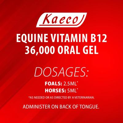 Show full view: Kaeco Vitamin B12 Gel Horse Supplement, 36,000 mcg, 15-ml tub slide 4 of 5
