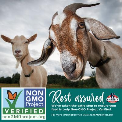 Show full view: Kalmbach Feeds 16% Non-GMO Pelleted Goat Feed, 50-lb bag slide 5 of 7