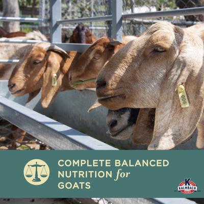 Show full view: Kalmbach Feeds 16% Organic Pellet Goat Feed, 50-lb bag slide 4 of 6