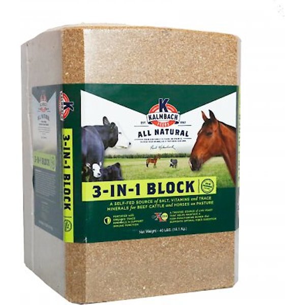 Kalmbach Feeds Sweet N Salty Banana Flavored Horse Salt Treat, 4-lb brick
