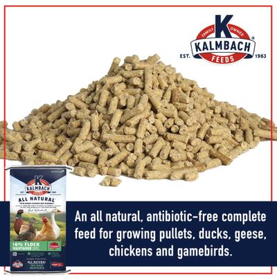 Show full view: Kalmbach Feeds All Natural 16% Protein Flock Maintainer Pellet Poultry Feed, 50-lb bag, bundle of 2 slide 3 of 7