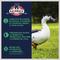 Show in main carousel: Kalmbach Feeds All Natural 16% Protein Flock Maintainer Pellet Poultry Feed, 50-lb bag, bundle of 2 slide 4 of 7
