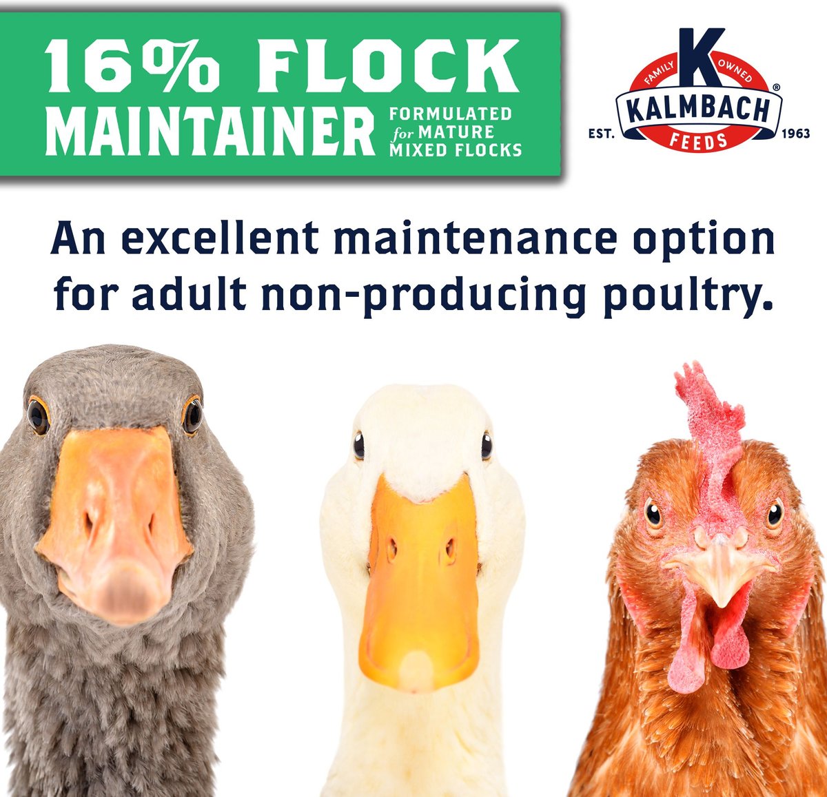 KALMBACH FEEDS All Natural 16 Protein Flock Maintainer Pellet Poultry