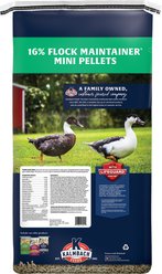 Kalmbach Feeds All Natural 16% Protein Flock Maintainer Pellet Poultry Feed, 50-lb bag slide 2 of 9